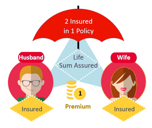 HSBC Joint Life Care